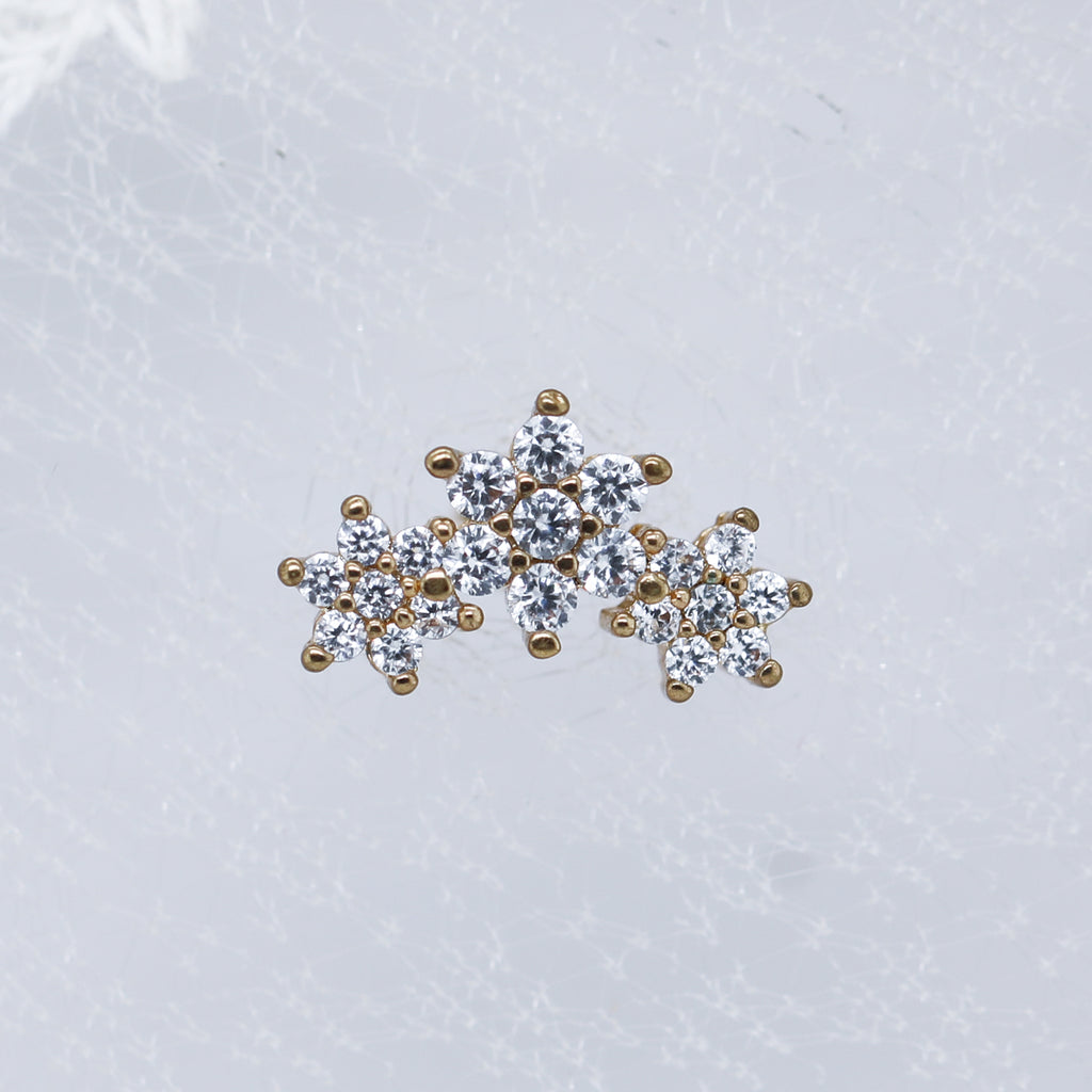 Flower Curve Barbell